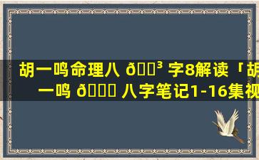 胡一鸣命理八 🌳 字8解读「胡一鸣 🐛 八字笔记1-16集视频」